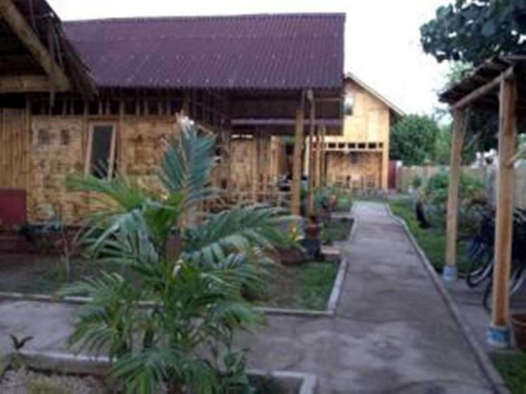 Little Woodstock Homestay Gili Trawangan Zewnętrze zdjęcie